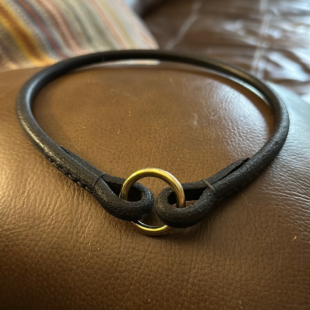 Dog tag collar